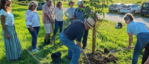 Vertreter des Bezirksverbandes Oberbayern, des Kreisverbandes Traunstein und der Gartenbauvereine des Landkreises Traunstein haben mit vereinten Kräften dem Nussbaum ein neues Zuhause bereitet. Foto  Breier