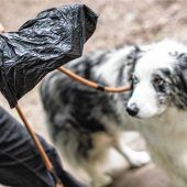 Tierischer Tretminen-Alarm