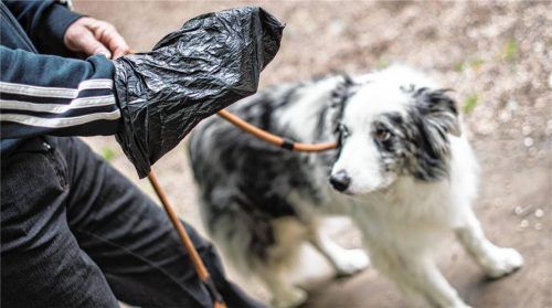 Vorbildlich: Ein Hundebesitzer zückt eine Plastiktüte, um die Hinterlassenschaft seines Hundes in einem Mülleimer zu entsorgen. Foto dpa/Maja Hitij