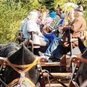 Kutschfahrt durch den Chiemgau