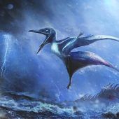 Baby-Flugsaurier starben im Sturm