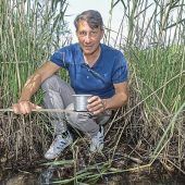 Sommer ohne Mückenplage