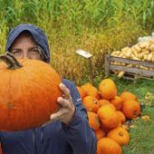 Frühstart in den Kürbis-Herbst