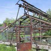 Sklavenarbeit in der SS-Kräuterplantage