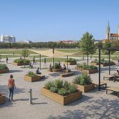 Mehr Grün für die Theresienwiese