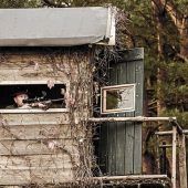 „Ein typischer Kompromiss“