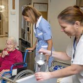 Dank „Bayernjahr“ zum Führerschein