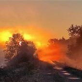 Farbenpracht auf der Spinnerei-Insel