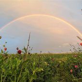 Ruhe statt Herbstfest-Trubel