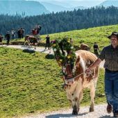 Almabtrieb von der Stoißer Alm