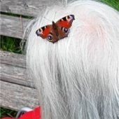 Ein ganz besonderer Haarschmuck