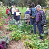 Ein Garten für eine Gemeinschaft in Planung