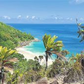 Schildkröten, Kokos und der Duft von Zimt