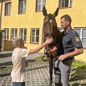 Von der Reiterstaffel bis zur Autobahnpolizei