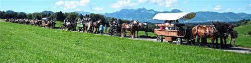 Alle Fuhrleute und Reiter mit 30 Pferden beim gemeinsamen Ausflug vor dem Wendelstein-Massiv.Foto deindl