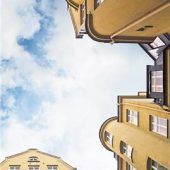 Pilze und Feuchteschäden