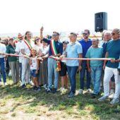 Bulldogs und Traktoren unter Olivenbäumen