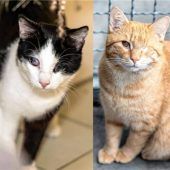 Zwei aus einer größeren Gruppe warten noch