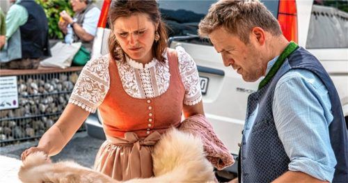 Das Angebot wurde kritisch unter die Lupe genommen.