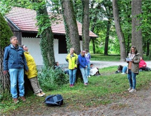 Den Schlusspunkt bildete „Die Kraft der Bäume“ mit einer Meditation.