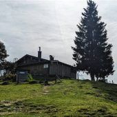 Ausschluss der Öffentlichkeit