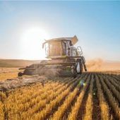 Zehn-Punkte-Plan für Politik