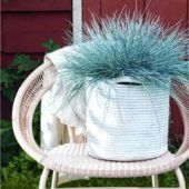 Herbstzeit ist Pflanzzeit