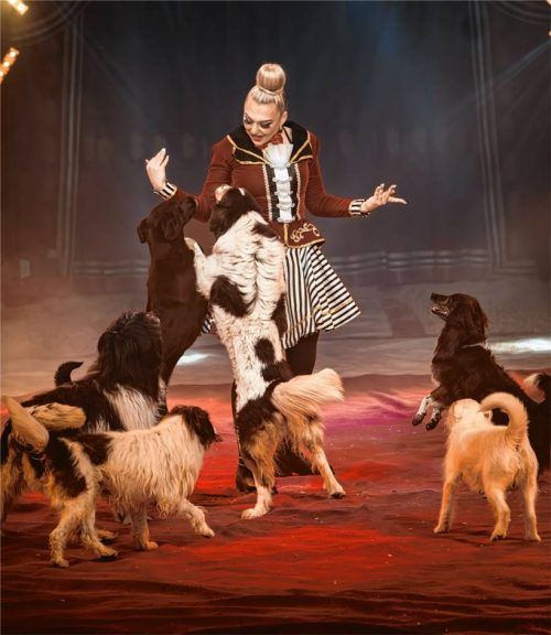 Der Circus Louis Knie, der demnächst in Kolbermoor gastieren wird, hat auch zahlreiche tierische Nummern im Gepäck. Foto Einzelstück Agency/Jolanda Hofmann