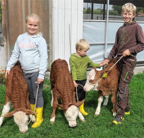 Die Hell-Kinder Anton, Quirin und Lucia (von rechts) mit ihren vierbeinigen Spielgefährten Gretel, Gams und Gustl (ebenfalls von rechts).