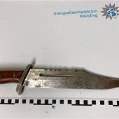 Fahnder nehmen gesuchten Straftäter fest