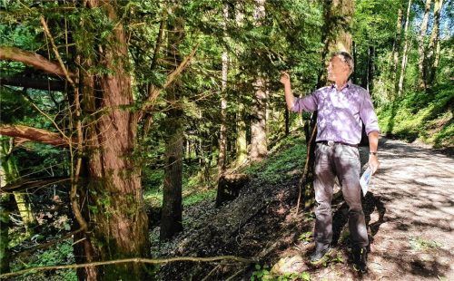 Dr. Daniel Müller, Leiter des Forstbetriebs Berchtesgaden: Schutzwaldpflege und der Umbau hin zu klimaresistenten Wäldern stehen im Vordergrund der Bemühungen.