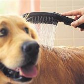 Eine Schmutzschleuse lohnt sich – in bestimmten Fällen