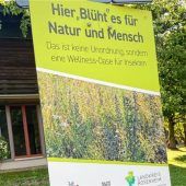Insektenparadies vor dem Paulusheim