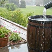 Natürlich und schön