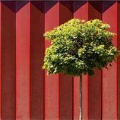 Regine Richter fotografiert Fassaden