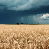 Absichern gegen Extremwetter