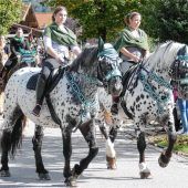 Tradition auf vier Hufen