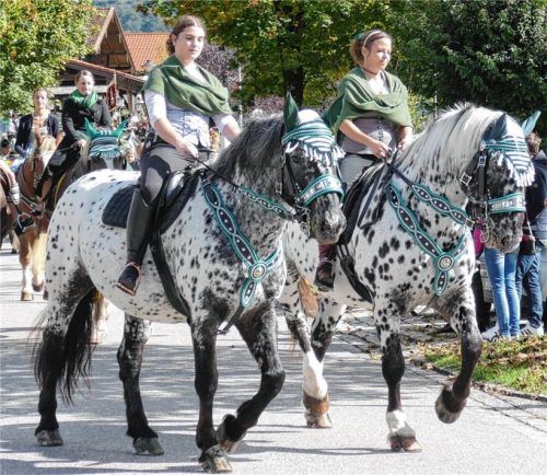 Hunderte Pferde sind beim Michaeli-Ritt in Inzell unterwegs, darunter auch selten gesehene Rassen wie diese bildschönen Noriker. Foto Wegscheider