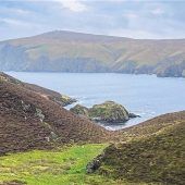Bei den Spinnern auf den Shetlands