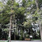 Sie bringen die Kurstadt zum Blühen