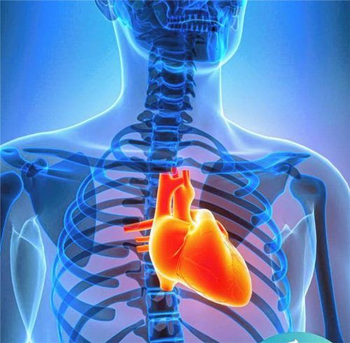 In Dr. Christian Thilos Arbeit wird täglich deutlich, wie wichtig eine schnelle Reaktion bei Herzproblemen sein kann. Foto RoMed Kliniken/IMAGO/Zoonar