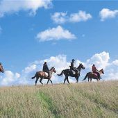 Mit Gauchos durch die norddeutsche Pampa