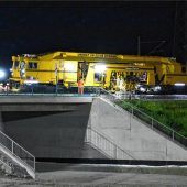 Mopsfledermaus und Co.