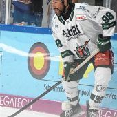 Starke Herausforderer