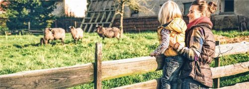 Schauen ja, betreten nein: Bauernhöfe sind Betriebsgelände, auf denen man sich nicht beliebig aufhalten darf.
