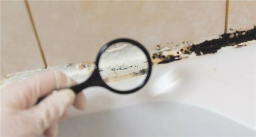 Silikonfugen sind schimmelanfällig – dichten sie nicht mehr gut genug ab, drohen Feuchteschäden. Foto Smarterpix/dewessa