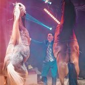 Nicht artgerecht oder große Kunst?