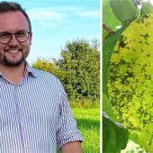 Der stille Dieb im Apfelgarten