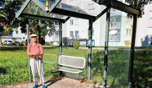 Warten auf Godot: Priens Gemeinderätin Angela Kind wartet an der Haltestelle in der Priener Carl-Braun-Straße vergeblich auf den Bus. Aber warum? Foto privat