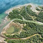 Teure Paddeltour ins Mündungsdelta der Ache